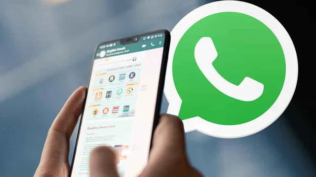 Lista de contactos en WhatsApp