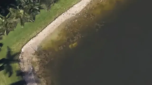 Encuentran vehículo en Google Maps Encuentran vehículo en Google Maps