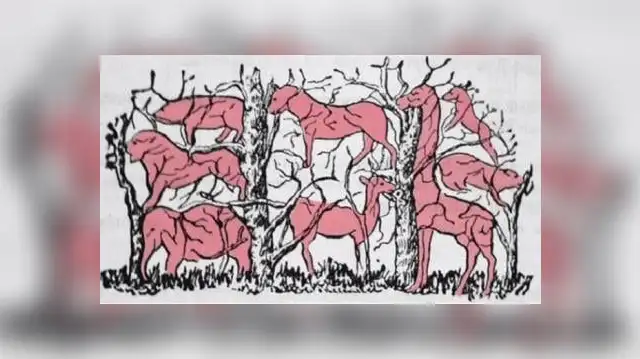 Reto visual resuelto