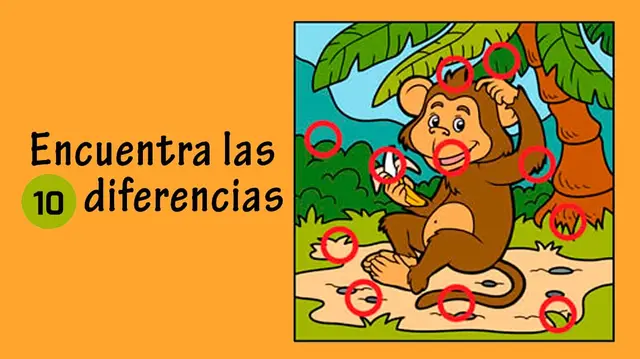 reto visual