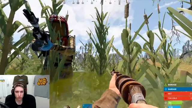 streamer twitch colapsa