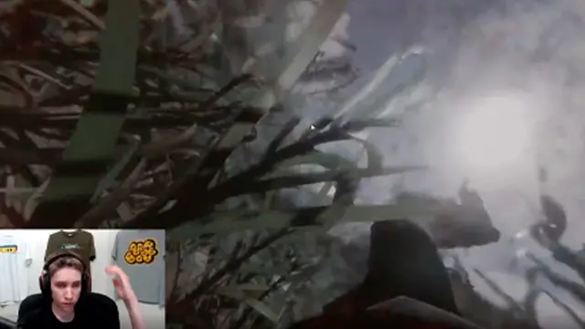 streamer twitch colapsa