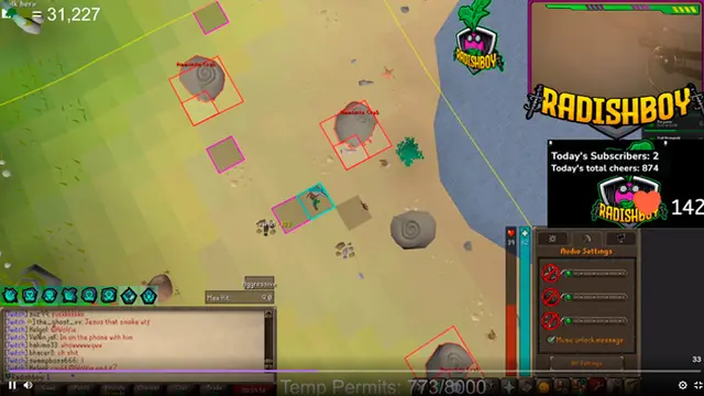 streamer twitch radishboy 
