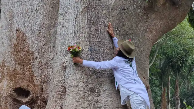 richard torres matrimonio con un árbol personajes de televisión richard torres matrimonio con un árbol personajes de televisión