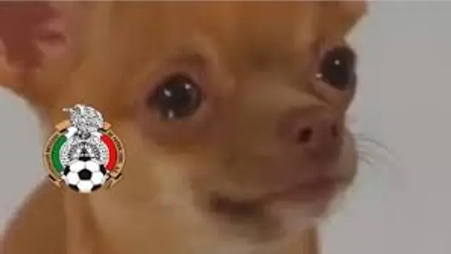 Memes México Memes México