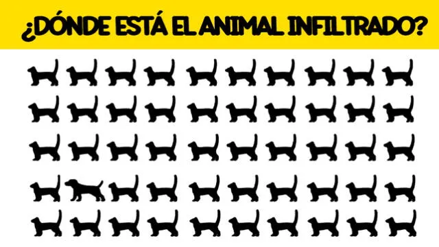 reto visual reto visual