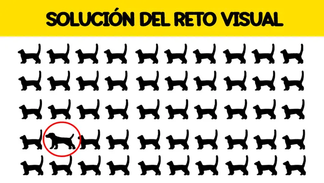 solución del reto visual solución del reto visual