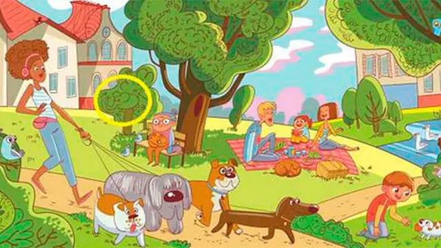 retos visuales reto visual retos visuales reto visual