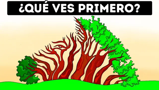 Test de personalidad, imagen