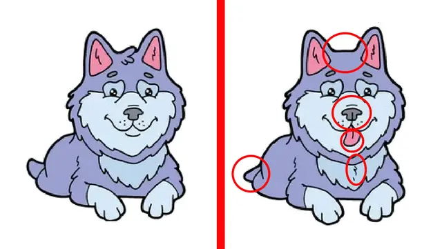 reto visual
