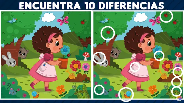 retos visuales