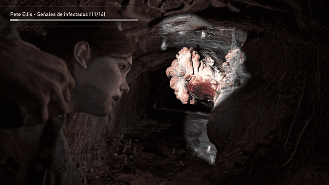 The last of us