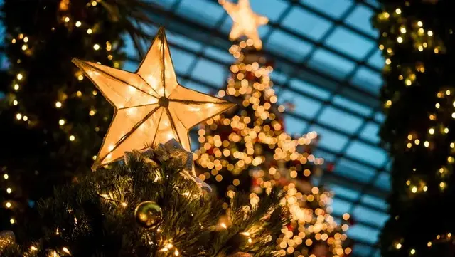 Navidad en Estados Unidos