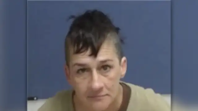 Walmart robo Walmart robo