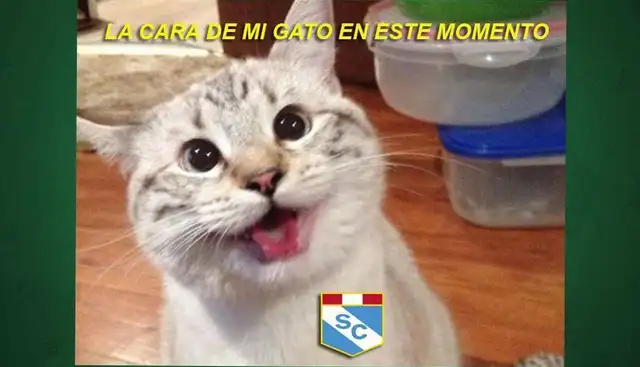 libero.pe