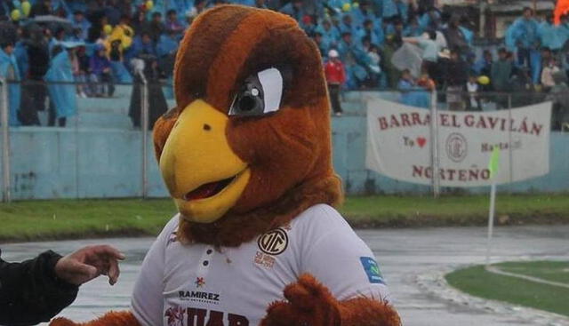 "Gavilán" la mascota de UTC "Gavilán" la mascota de UTC