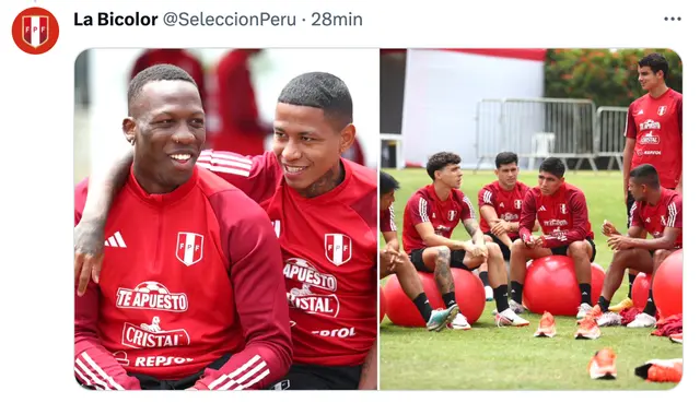Selección peruana