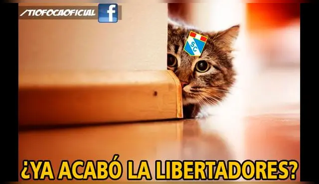 Infartantes memes de la derrota del Sporting Cristal por 4-0 ante Santos en Copa Libertadores. Fuente: Facebook