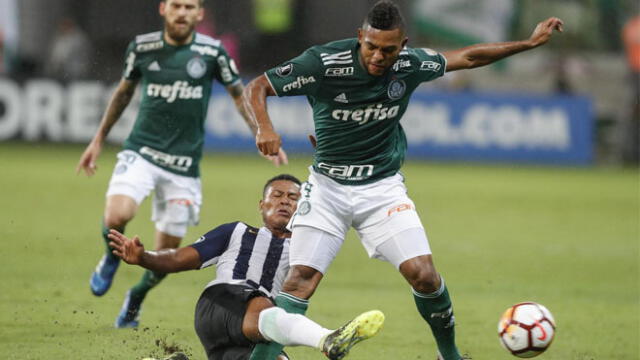 Alianza Lima vs. Palmerias: cuadro victoriano busca su primer triunfo en la presente Copa Libertadores 
