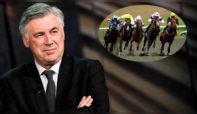 Napoli: Carletto Ancelotti adquirió una yegua pura sangre por un monto de 75 mil euros │ Fútbol Italiano │ VIDEO