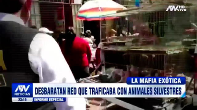 Venta de animales silvestres en Cercado de Lima
