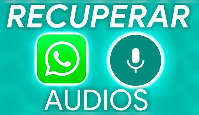 WhatsApp: conoce la manera de recuperar los audios eliminados.