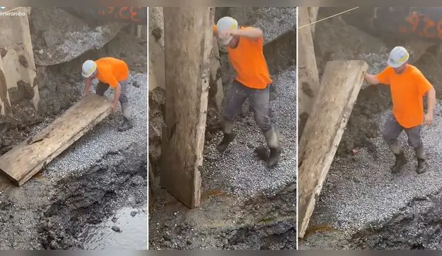 Obrero se lleva el susto de su vida al encontrar gigantesca rata