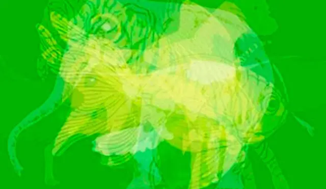 Test Visual: ¿Qué animal ves? Lo primero que veas revelará aspectos de tu personalidad