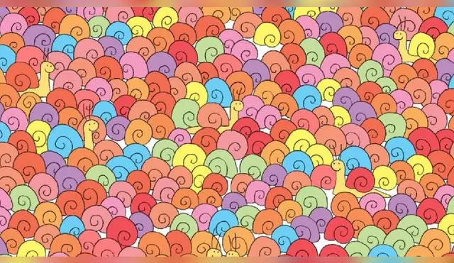 Reto visual: encuentra el corazón en medio de los caracoles