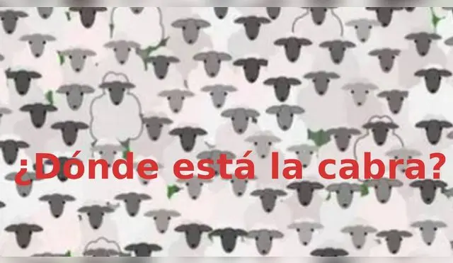 Reto visual, ubica la cabra en 10 segundos