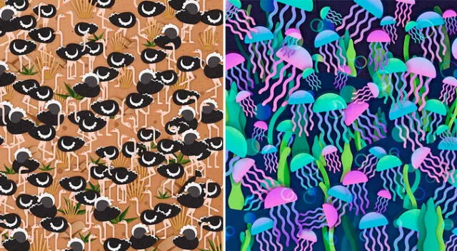 Reto visual: Ubica los elementos ocultos en las imágenes en menos 15 segundos