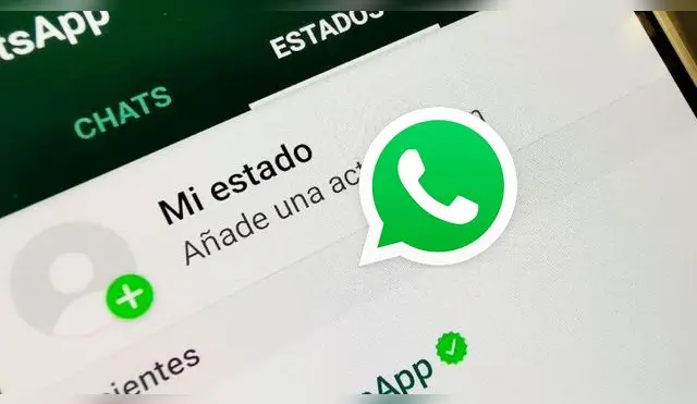 conoce cómo saber que contacto revisa tu estado en la aplicación