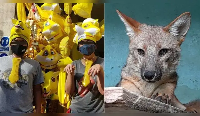 Viral: comerciantes venden gorros del 'Zorrito Run Run' para celebrar el Año Nuevo