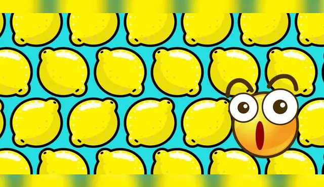 Reto visual súper PRO: ¿Viste las dos pelotas entre los limones?