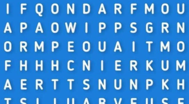 Desafío visual: ¿Ves la palabra entusiasmo? ubícala en pocos segundos Desafío visual: ¿Ves la palabra entusiasmo? ubícala en pocos segundos