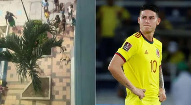 Sujeto lanzó desde un sexto piso a su perro por derrota de Colombia ante Perú Sujeto lanzó desde un sexto piso a su perro por derrota de Colombia ante Perú