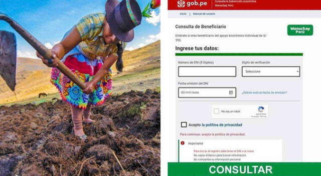 Bono Wanuchay 2022: Consulta con tu DNI si accedes al subsidio de 350 soles