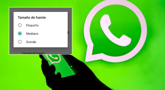 WhatsApp es el principal medio de conevrsación en el mundo.