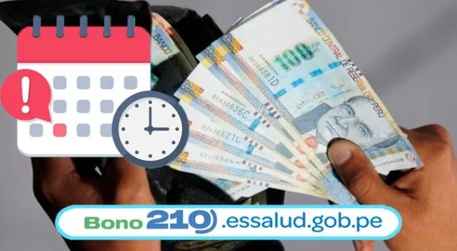 Conoce todo sobre el Bono 210. Conoce todo sobre el Bono 210.