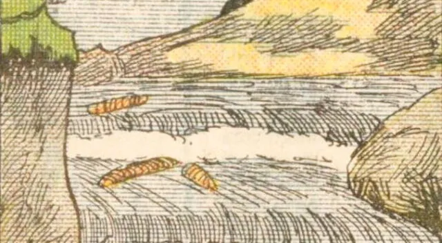 Reto visual: esta imagen esconde una animal oculto; solo un 10% pudo verlo