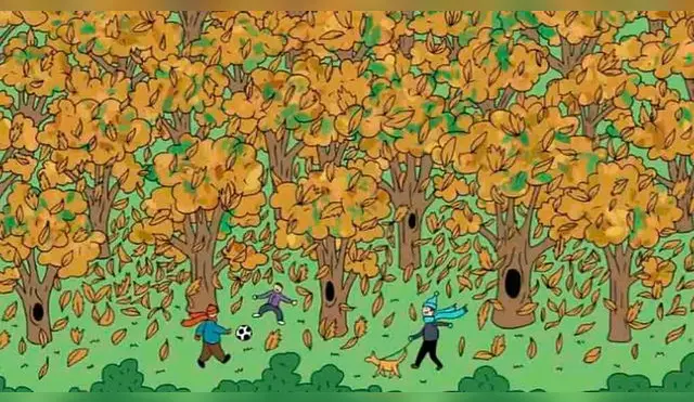 Reto visual: ¿Dónde está el roedor? Solo un 5% de personas lo halló en este bosque
