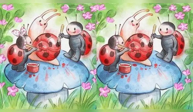 ¿Serás capaz de encontrar las 3 diferencias? Atrévete a superar este reto visual