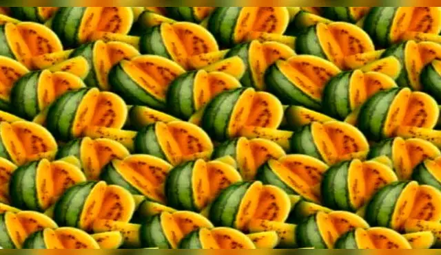¿Lograrás encontrar a la piña que se infiltró entre los melones?
