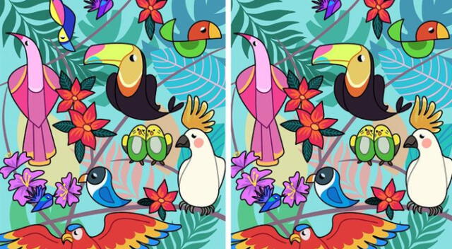 ¿Cuáles son las 2 diferencias? solo 1 de cada 10 logró resolver el reto visual EXTREMO