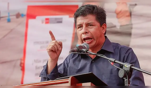 Pedro Castillo: 'La actitud de congresistas dan vergüenza a América Latina y el mundo'