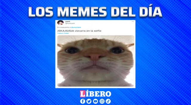 Martín Vizcarra habría enviado una foto a Zully Pinchi y usuarios recrearon la escena.