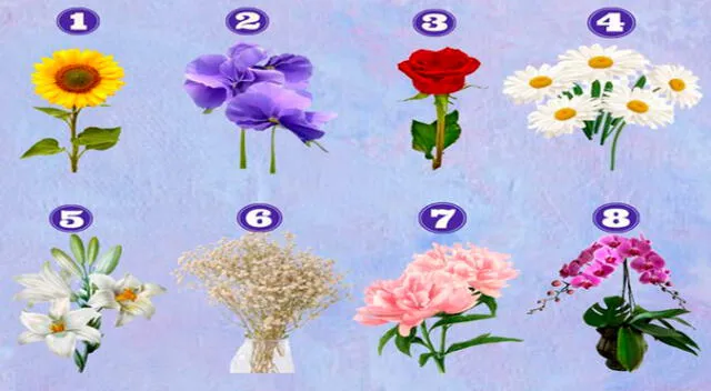Elige la flor que más te gusta y descubre más de tu personalidad.
