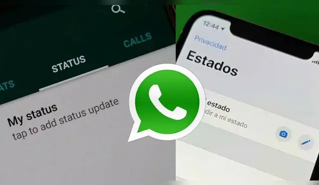 WhatsApp: ¿Cuál es el truco para recuperar los estados que se borraron en 24 horas?