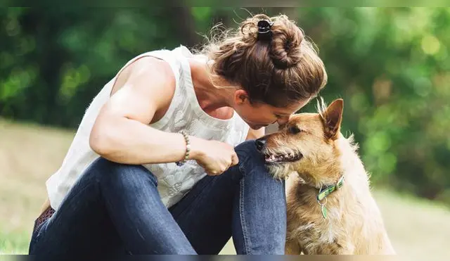 Conoce cómo elegir a tu perro acorde a tu personalidad, según la ciencia