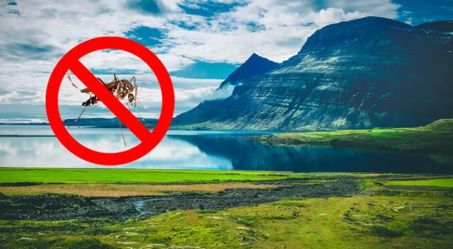 Conoce el único lugar del mundo donde no habitan los mosquitos Conoce el único lugar del mundo donde no habitan los mosquitos